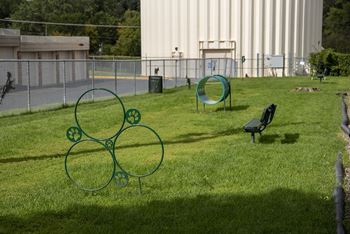 Dog park